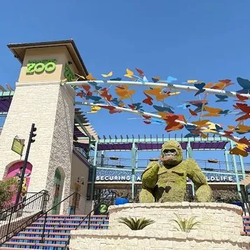 San Antonio Zoo